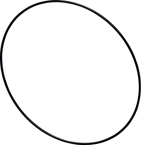 Cover O-Ring Replacement - Tiger Tail