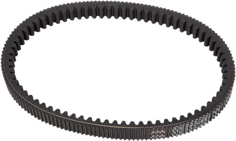 Drive Belt 2008 - 2019