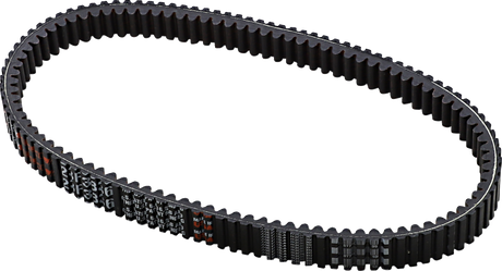 Drive Belt 2010 - 2022