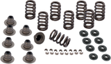 Spring Kit - .605\" - M8 2017 - 2020