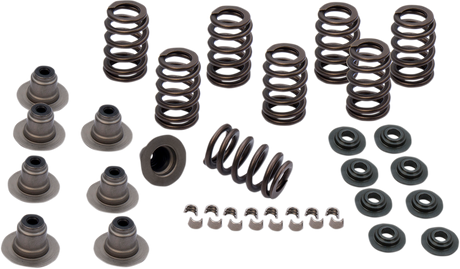 Spring Kit - .605\" - M8 2017 - 2020