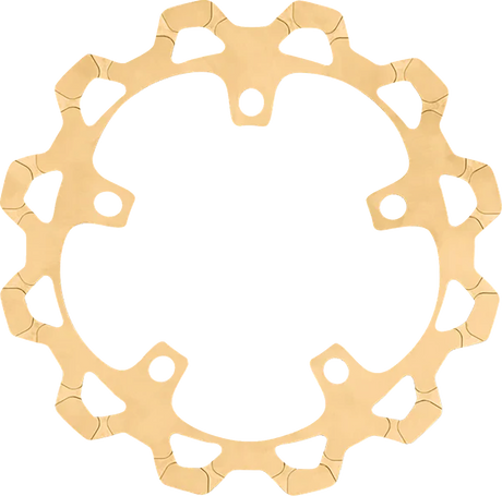 Brake Rotor - 320 mm - Front - Gold 2024 - 2024