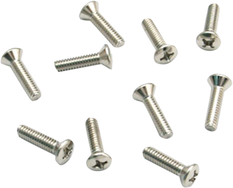 Air Cleaner Cover Screws