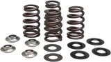 Beehive Valve Spring Kit 2013 - 2018