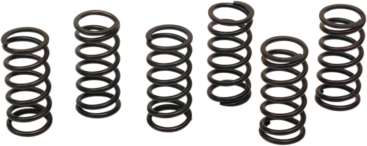 Clutch Spring Kit 2005 - 2023