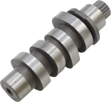 Cam - 405 - M8 2017 - 2021