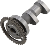 Exhaust Camshaft 2015 - 2017