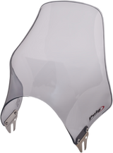 Naked Windshield - Smoke 1991 - 2024