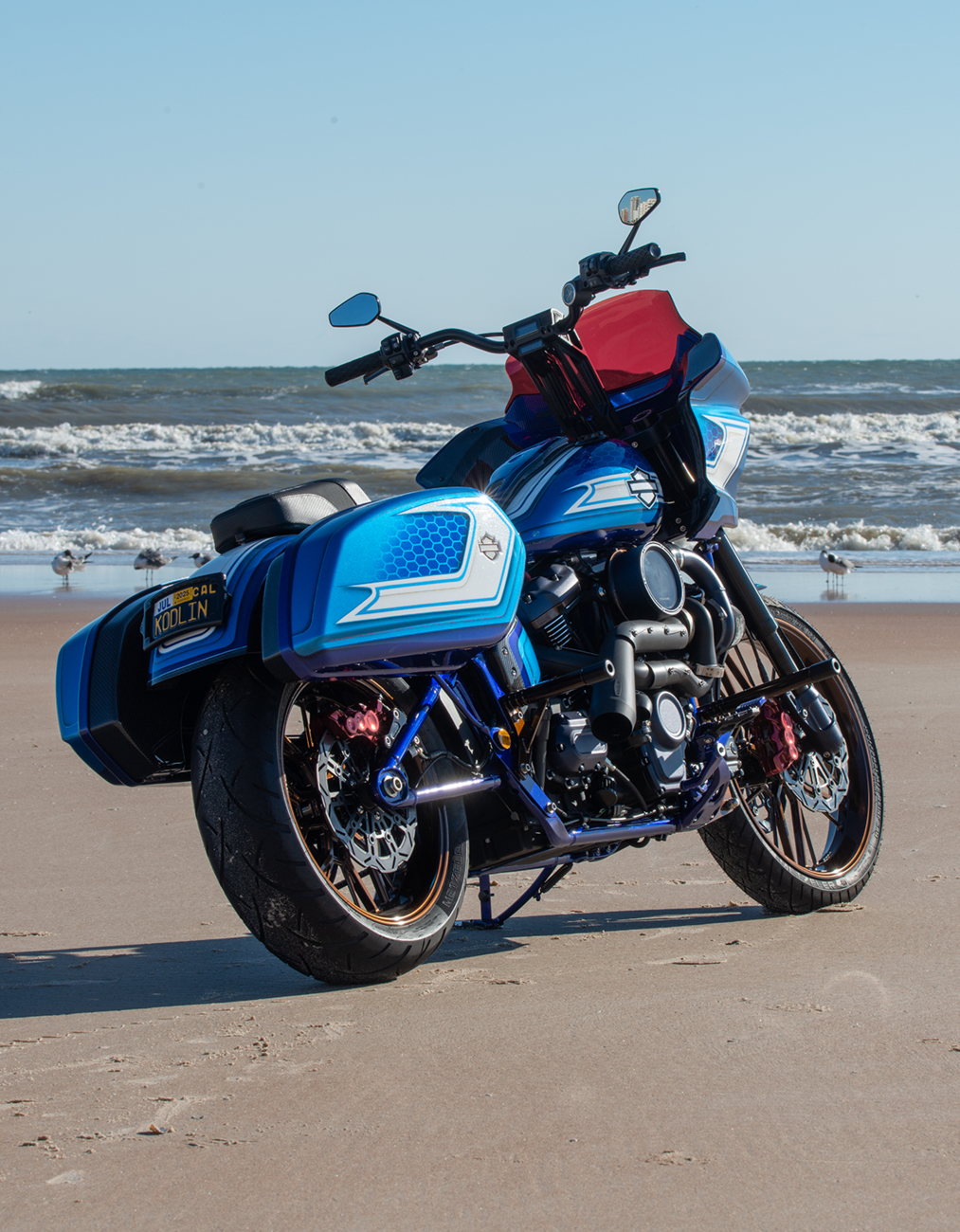 Design \"D\" 10-Spoke Brake Rotor 2018 - 2024