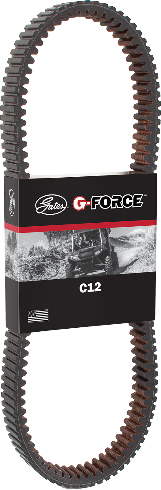 Drive Belt 2009 - 2019