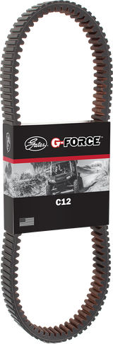 Drive Belt 1998 - 2022