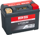 Lithium Battery - BSLi-08 1984 - 2023