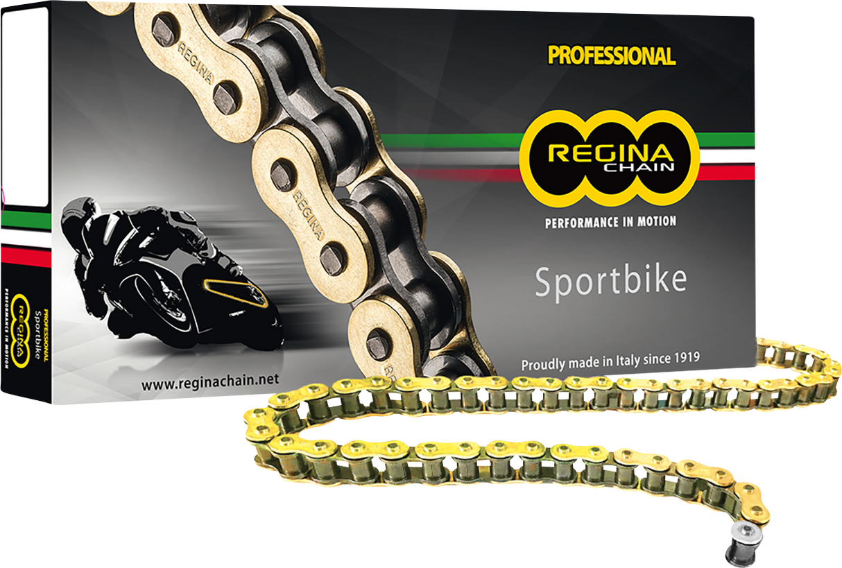 525 ZRP - Drive Chain - 110 Links